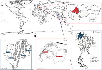 First Record of Fungal Diversity in the Tropical and Warm-Temperate Middle Miocene Climate Optimum Forests of Eurasia